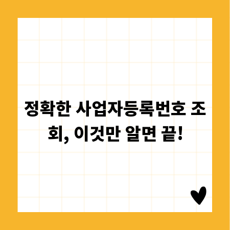 정확한 사업자등록번호 조회, 이것만 알면 끝!