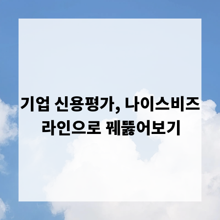 기업 신용평가, 나이스비즈라인으로 꿰뚫어보기