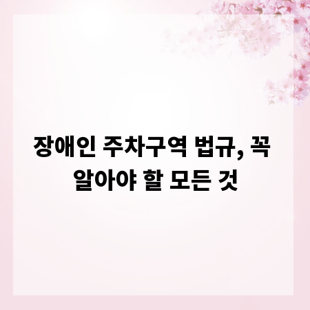 장애인 주차구역 법규, 꼭 알아야 할 모든 것