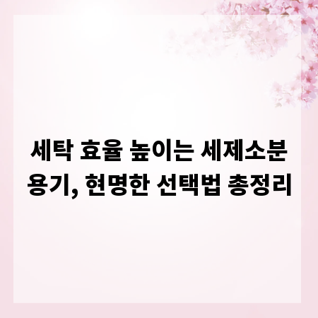 세탁 효율 높이는 세제소분용기, 현명한 선택법 총정리