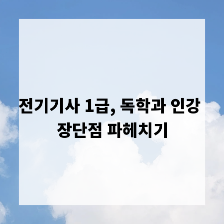 전기기사 1급, 독학과 인강 장단점 파헤치기
