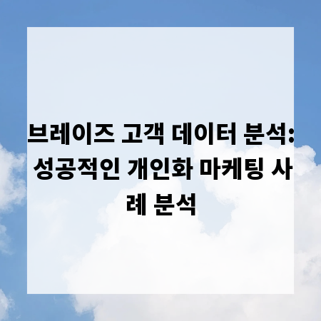 브레이즈 고객 데이터 분석: 성공적인 개인화 마케팅 사례 분석