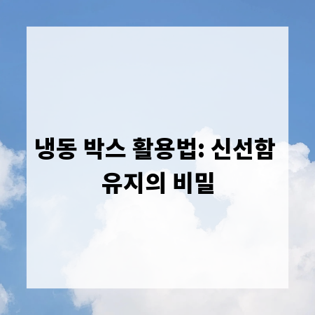 냉동 박스 활용법: 신선함 유지의 비밀