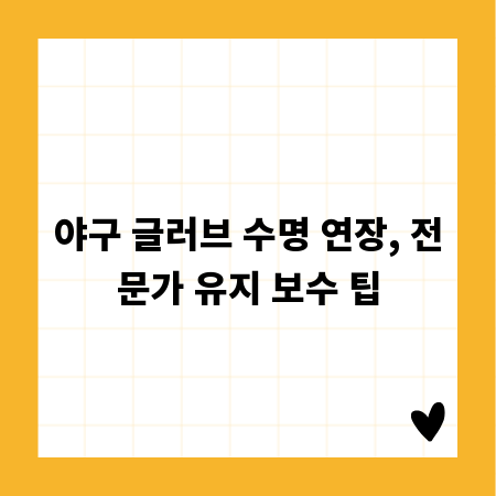 야구 글러브 수명 연장, 전문가 유지 보수 팁