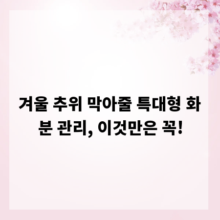겨울 추위 막아줄 특대형 화분 관리, 이것만은 꼭!