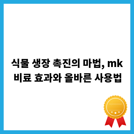 현관문 방범, 안전한 집을 위한 똑똑한 선택 가이드