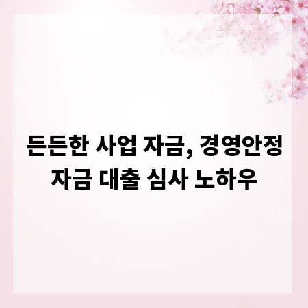 든든한 사업 자금, 경영안정자금 대출 심사 노하우