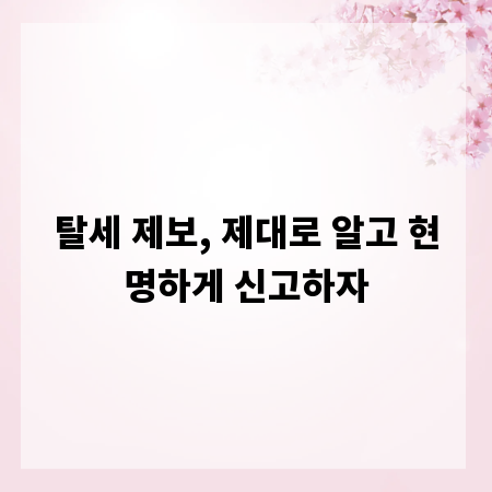 탈세 제보, 제대로 알고 현명하게 신고하자