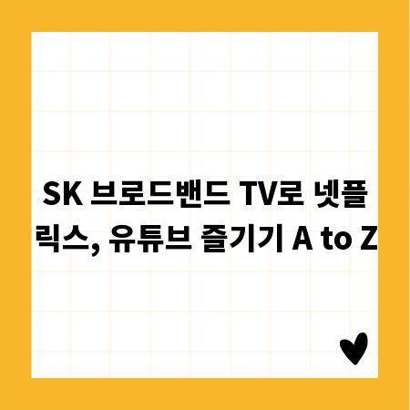 SK 브로드밴드 TV로 넷플릭스, 유튜브 즐기기 A to Z