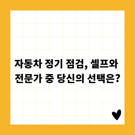 자동차 정기 점검, 셀프와 전문가 중 당신의 선택은?