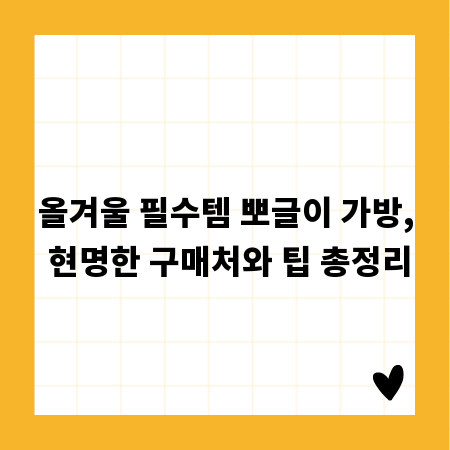 올겨울 필수템 뽀글이 가방, 현명한 구매처와 팁 총정리