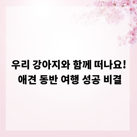 우리 강아지와 함께 떠나요! 애견 동반 여행 성공 비결