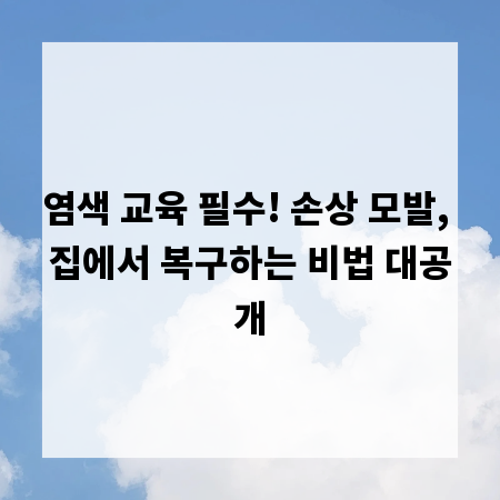 염색 교육 필수! 손상 모발, 집에서 복구하는 비법 대공개