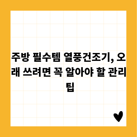 주방 필수템 열풍건조기, 오래 쓰려면 꼭 알아야 할 관리 팁