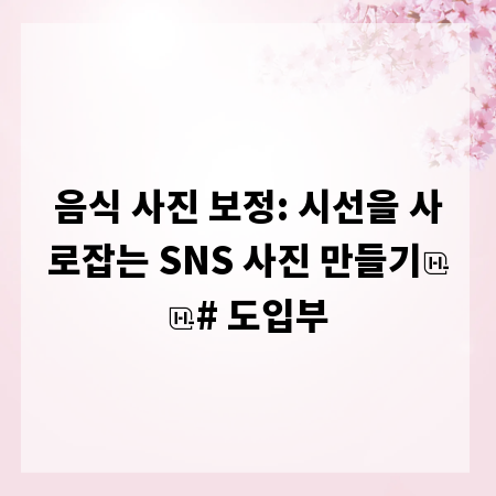 음식 사진 보정: 시선을 사로잡는 SNS 사진 만들기
# 도입부