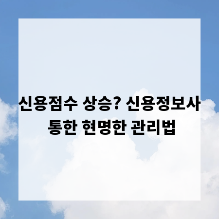 신용점수 상승? 신용정보사 통한 현명한 관리법