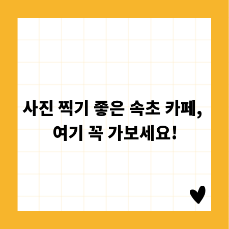 사진 찍기 좋은 속초 카페, 여기 꼭 가보세요!