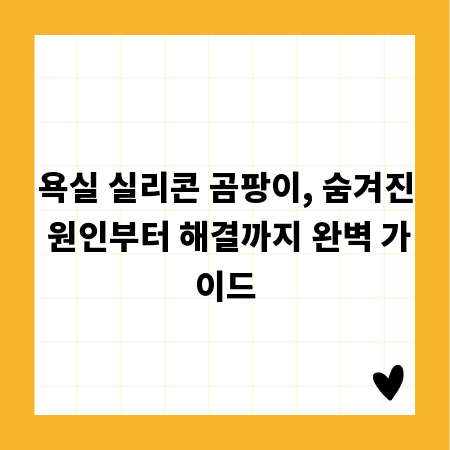 욕실 실리콘 곰팡이, 숨겨진 원인부터 해결까지 완벽 가이드