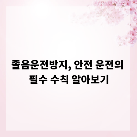 졸음운전방지, 안전 운전의 필수 수칙 알아보기