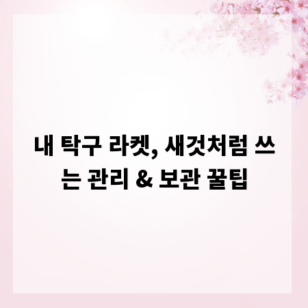 내 탁구 라켓, 새것처럼 쓰는 관리 & 보관 꿀팁