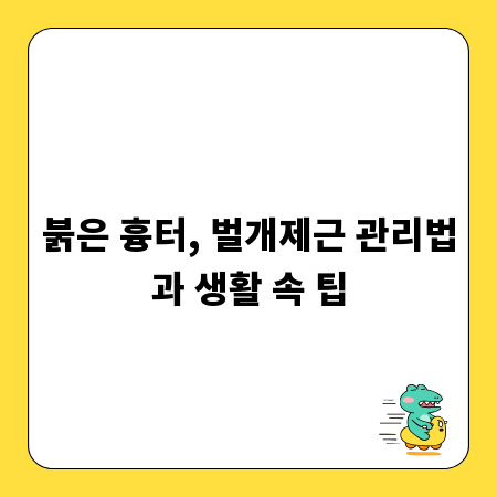 성공적인 유튜브 채널 운영, 롤모델 분석이 정답입니다