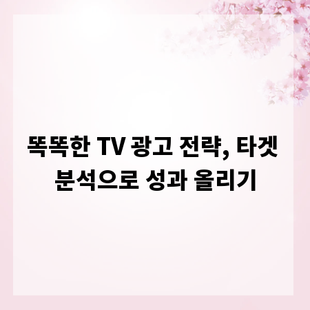 똑똑한 TV 광고 전략, 타겟 분석으로 성과 올리기