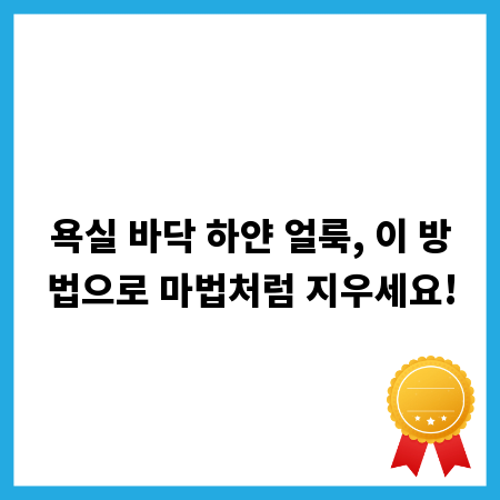 모듬 튀김, 당신의 주방을 맛집으로 만드는 비법