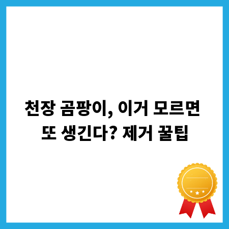 천장 곰팡이, 이거 모르면 또 생긴다? 제거 꿀팁