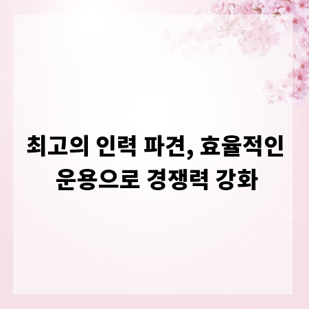 최고의 인력 파견, 효율적인 운용으로 경쟁력 강화