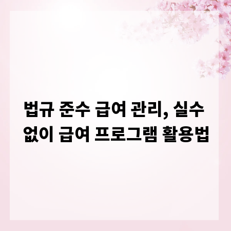 법규 준수 급여 관리, 실수 없이 급여 프로그램 활용법