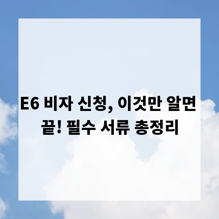 E6 비자 신청, 이것만 알면 끝! 필수 서류 총정리