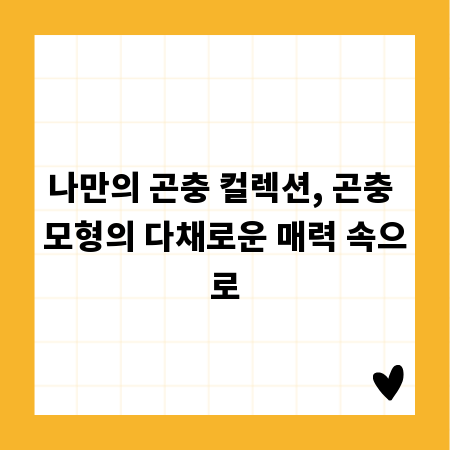 나만의 곤충 컬렉션, 곤충 모형의 다채로운 매력 속으로