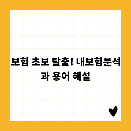 보험 초보 탈출! 내보험분석과 용어 해설