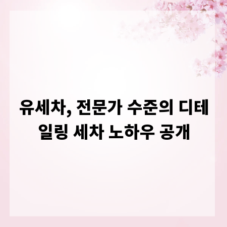 유세차, 전문가 수준의 디테일링 세차 노하우 공개