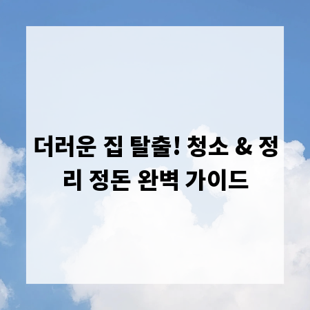 더러운 집 탈출! 청소 & 정리 정돈 완벽 가이드
