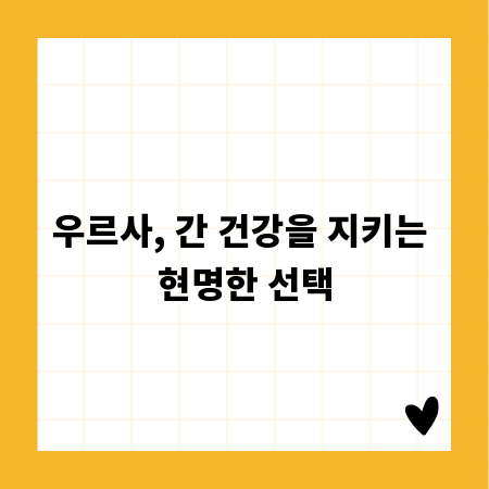 우르사, 간 건강을 지키는 현명한 선택