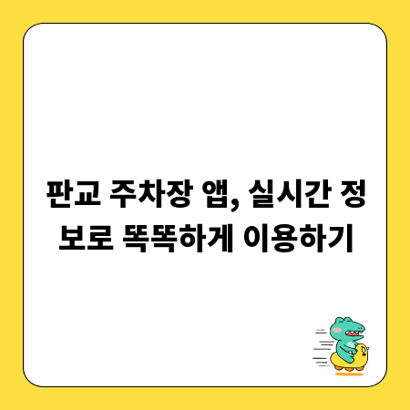 판교 주차장 앱, 실시간 정보로 똑똑하게 이용하기