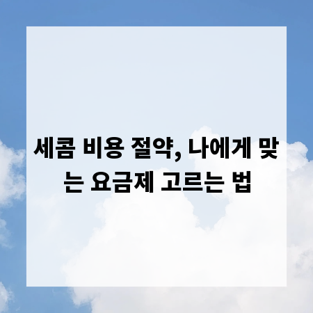 세콤 비용 절약, 나에게 맞는 요금제 고르는 법