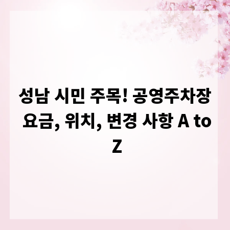 성남 시민 주목! 공영주차장 요금, 위치, 변경 사항 A to Z