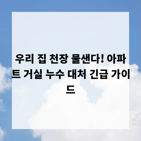 우리 집 천장 물샌다! 아파트 거실 누수 대처 긴급 가이드