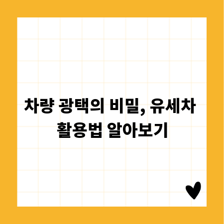 차량 광택의 비밀, 유세차 활용법 알아보기