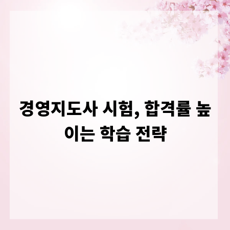 경영지도사 시험, 합격률 높이는 학습 전략