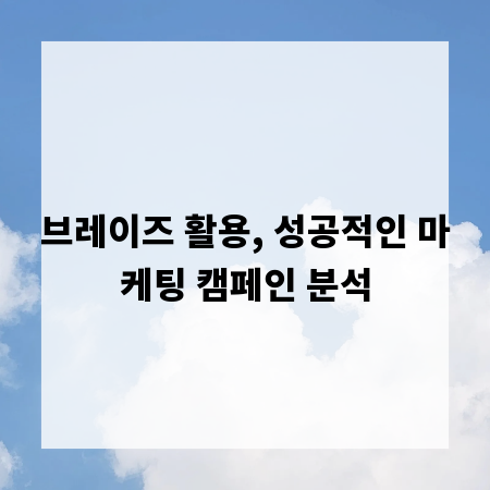 브레이즈 활용, 성공적인 마케팅 캠페인 분석