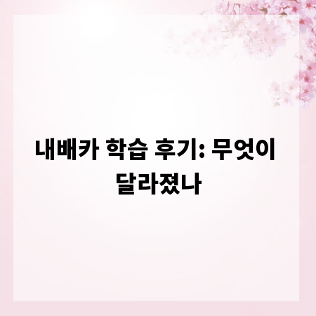 내배카 학습 후기: 무엇이 달라졌나