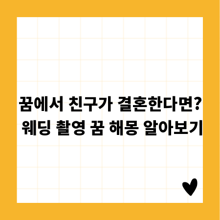 저렴한 방풍 비닐 찾는 법, 가격 비교부터 추천까지
