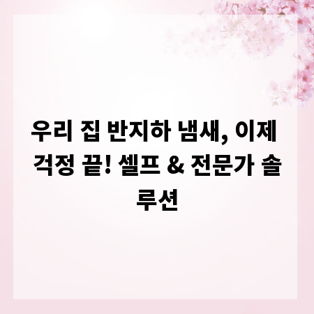 우리 집 반지하 냄새, 이제 걱정 끝! 셀프 & 전문가 솔루션
