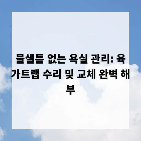 물샐틈 없는 욕실 관리: 육가트랩 수리 및 교체 완벽 해부