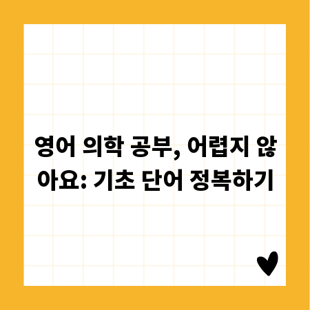영어 의학 공부, 어렵지 않아요: 기초 단어 정복하기