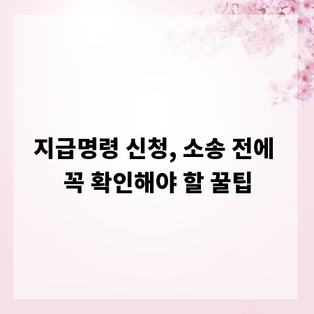 지급명령 신청, 소송 전에 꼭 확인해야 할 꿀팁