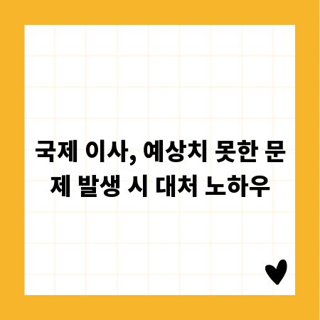 국제 이사, 예상치 못한 문제 발생 시 대처 노하우